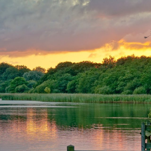 Filby Broad